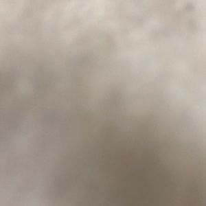 Meet your Posher, Constance